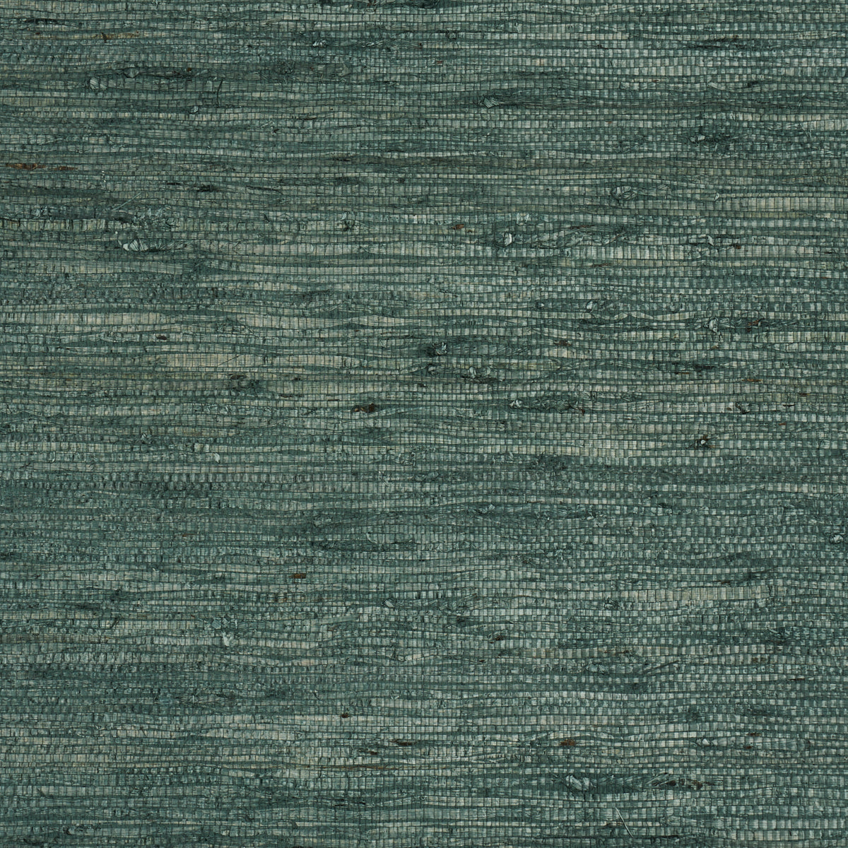 Purchase 5018517 | Han Arrowroot, Teal - Schumacher Wallpaper