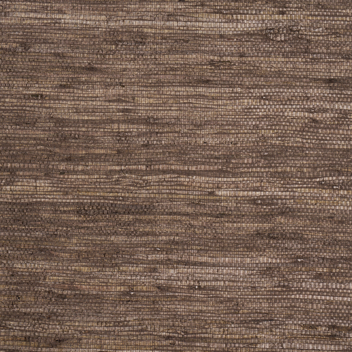 Purchase 5018518 | Han Arrowroot, Brown - Schumacher Wallpaper
