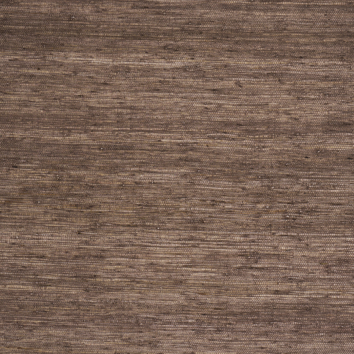 Purchase 5018518 | Han Arrowroot, Brown - Schumacher Wallpaper