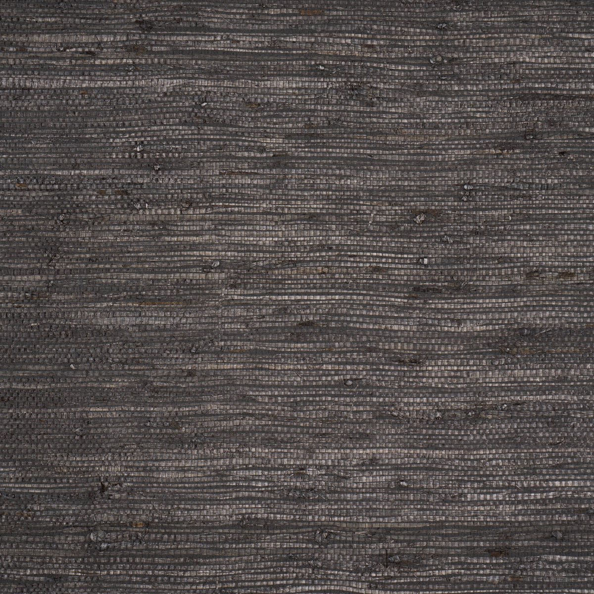 Purchase 5018519 | Han Arrowroot, Charcoal - Schumacher Wallpaper