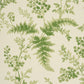 Purchase 5018620 | Maidenhair, Moss - Schumacher Wallpaper