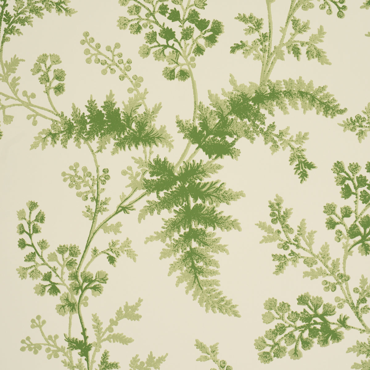 Purchase 5018620 | Maidenhair, Moss - Schumacher Wallpaper