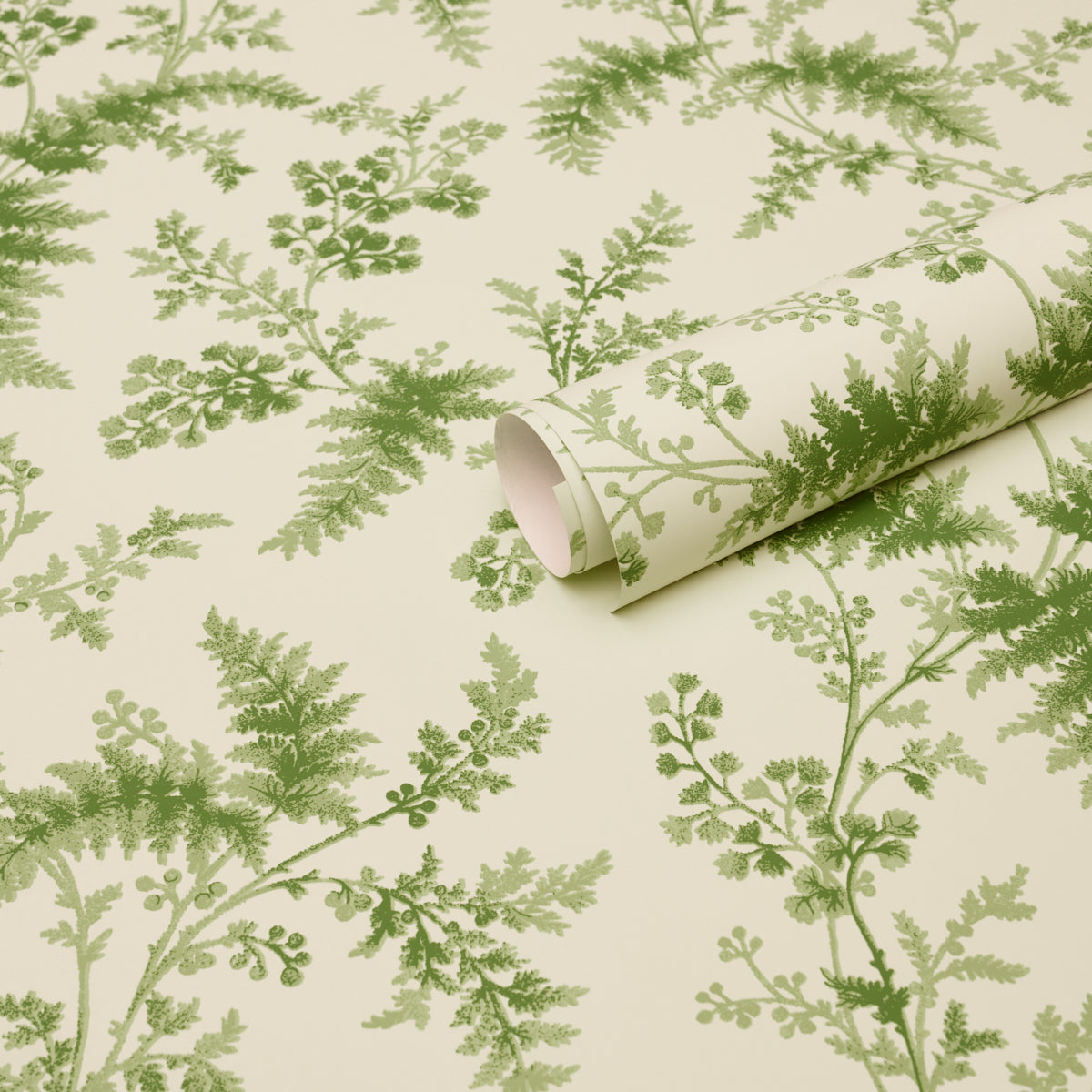 Purchase 5018620 | Maidenhair, Moss - Schumacher Wallpaper