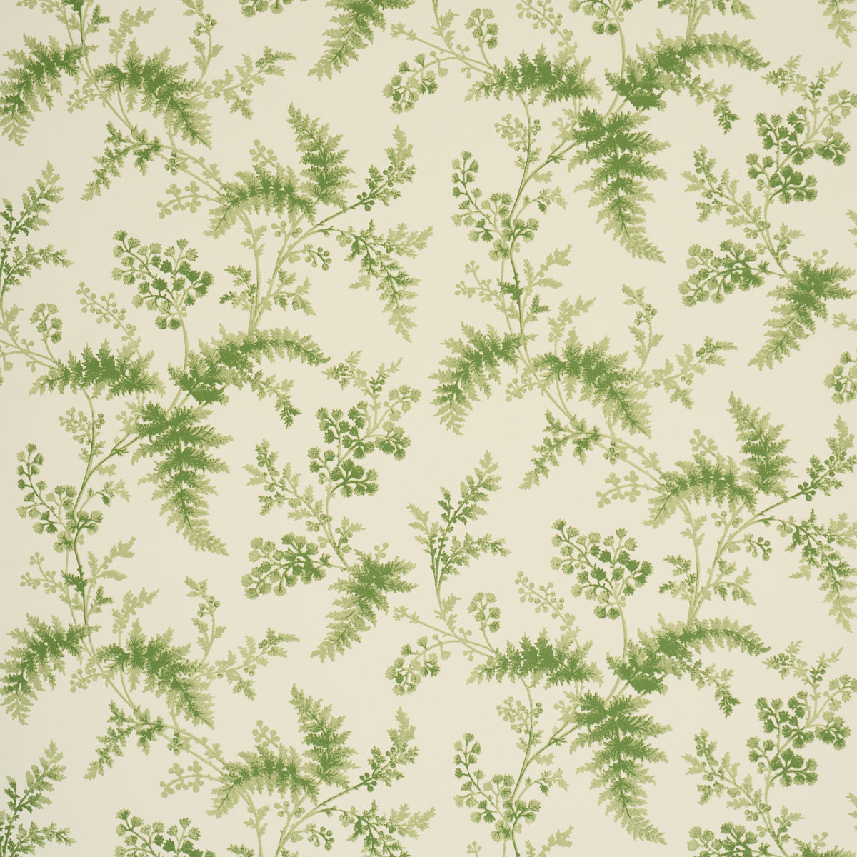 Purchase 5018620 | Maidenhair, Moss - Schumacher Wallpaper