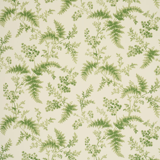 Purchase 5018620 | Maidenhair, Moss - Schumacher Wallpaper
