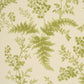 Purchase 5018621 | Maidenhair, Leaf - Schumacher Wallpaper