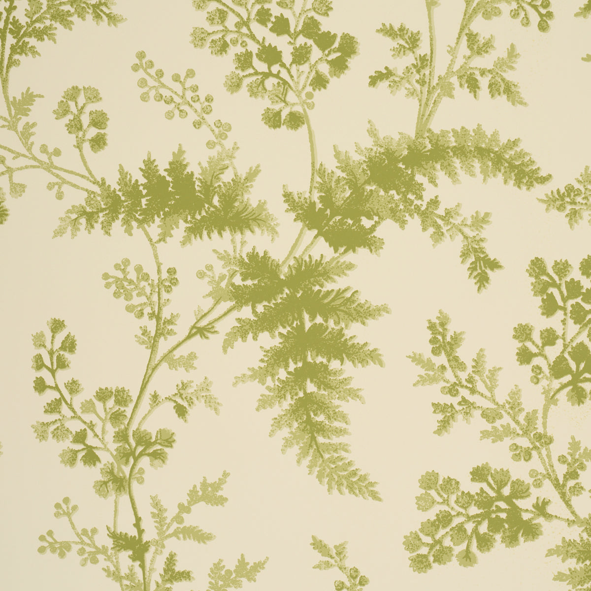Purchase 5018621 | Maidenhair, Leaf - Schumacher Wallpaper