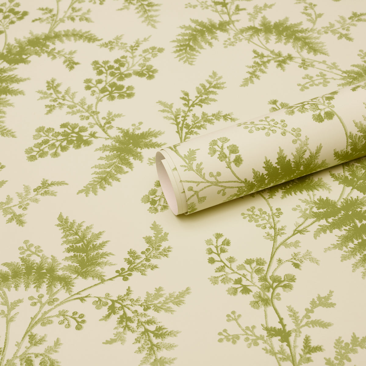 Purchase 5018621 | Maidenhair, Leaf - Schumacher Wallpaper