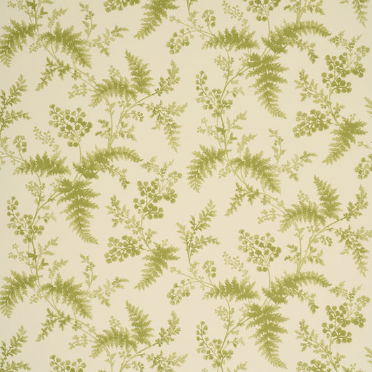 Purchase 5018621 | Maidenhair, Leaf - Schumacher Wallpaper