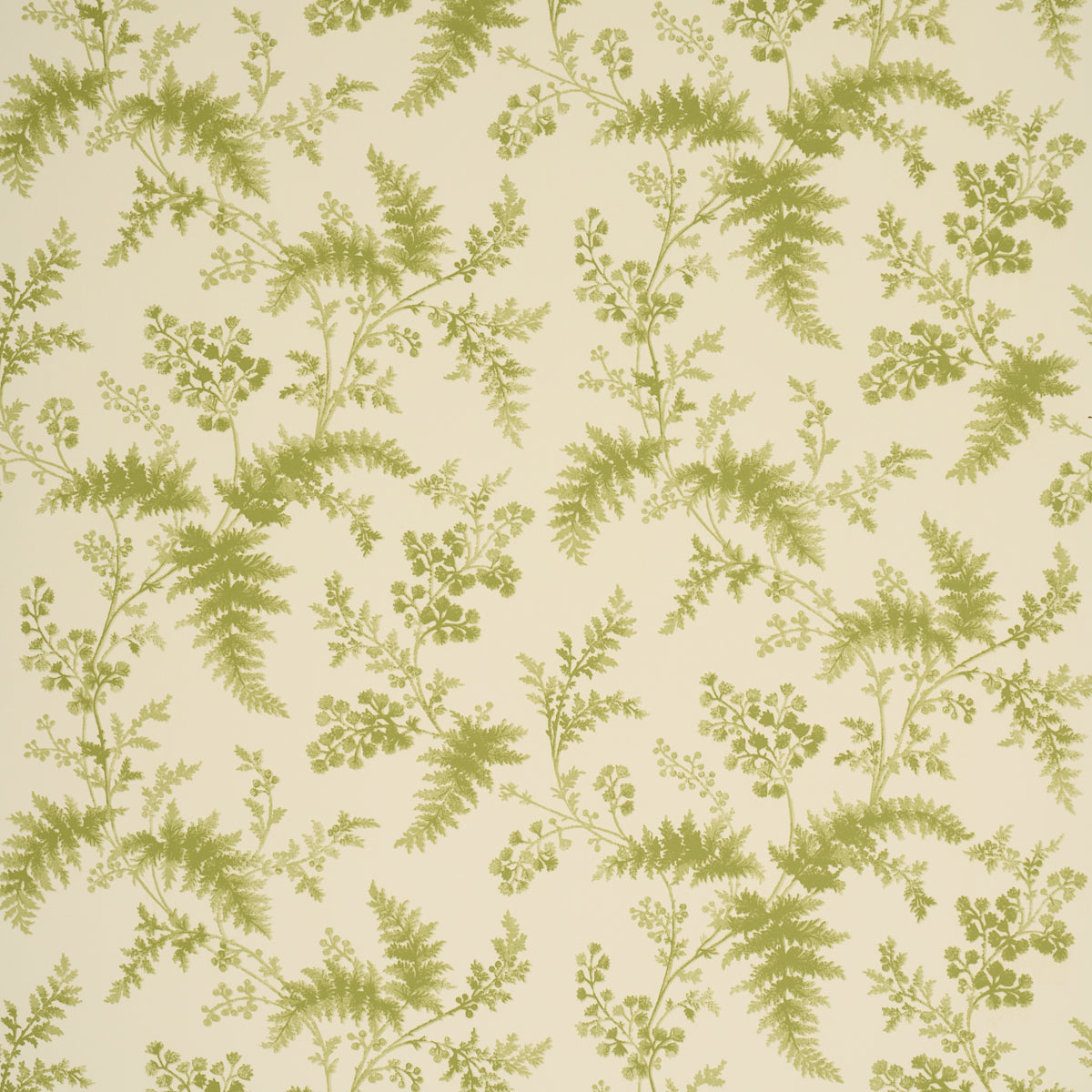 Purchase 5018621 | Maidenhair, Leaf - Schumacher Wallpaper