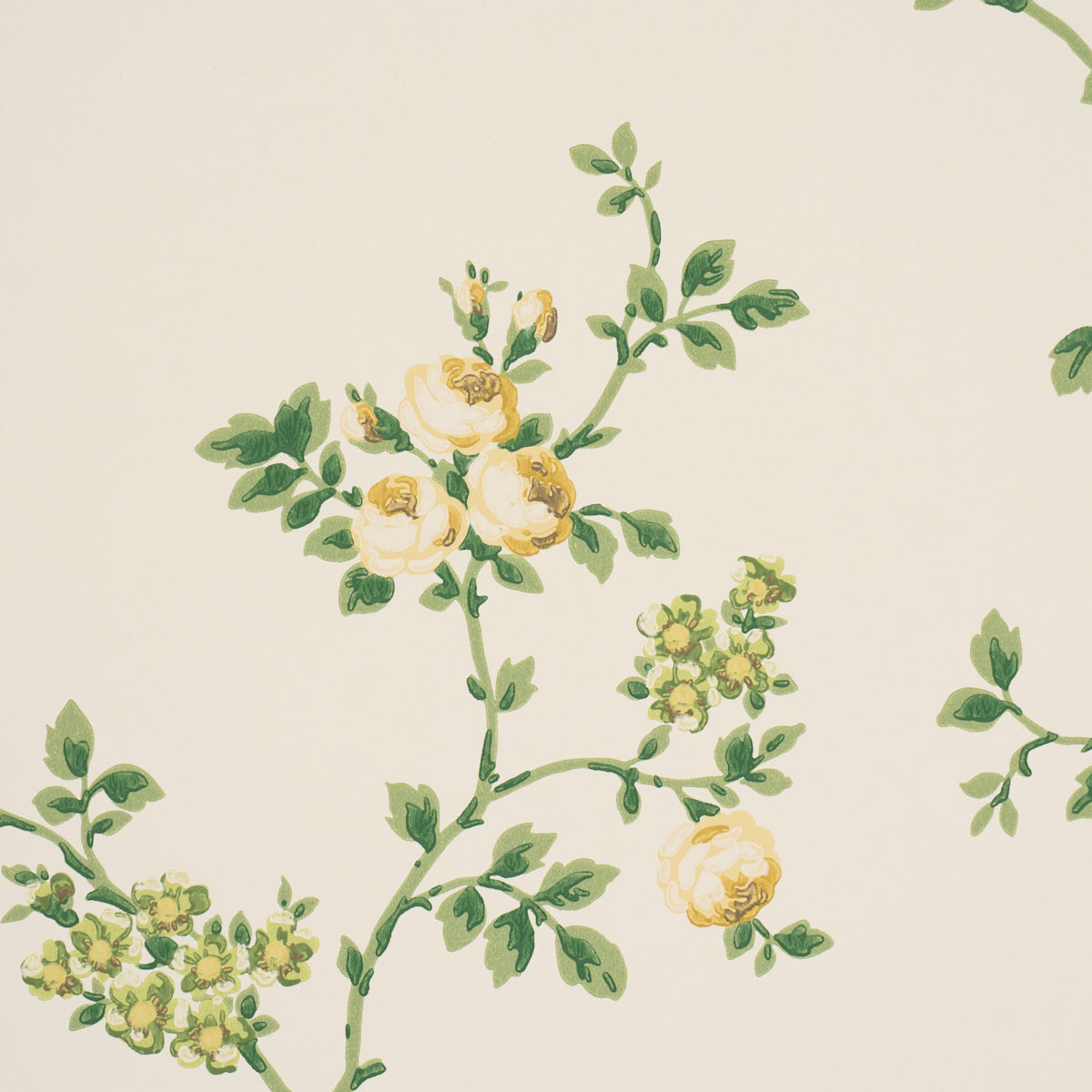 Purchase 5018652 | A Rose Is A Rose Is A Rose, Citron - Schumacher Wallpaper