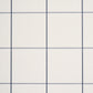 Purchase 5018703 | Woodman Check, Indigo - Schumacher Wallpaper