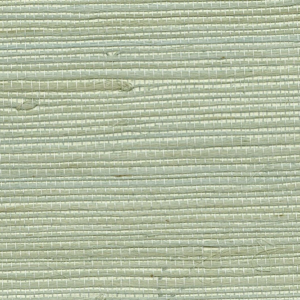 Purchase 53-65609 Jiangsu Grasscloth, Kiyoshi Light Green Grasscloth by Kenneth James Wallpaper