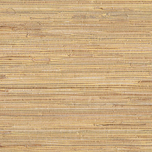 Purchase 53-65622 Jiangsu Grasscloth, Mayu Taupe Grasscloth by Kenneth James Wallpaper