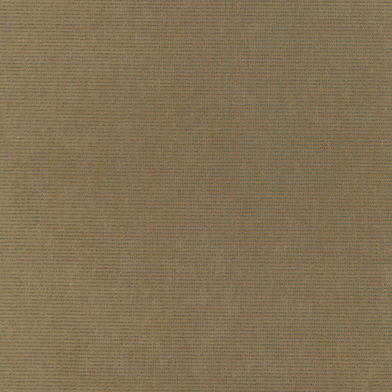 Looking 54885 Chiaroscuro Velvet Mink by Schumacher Fabric