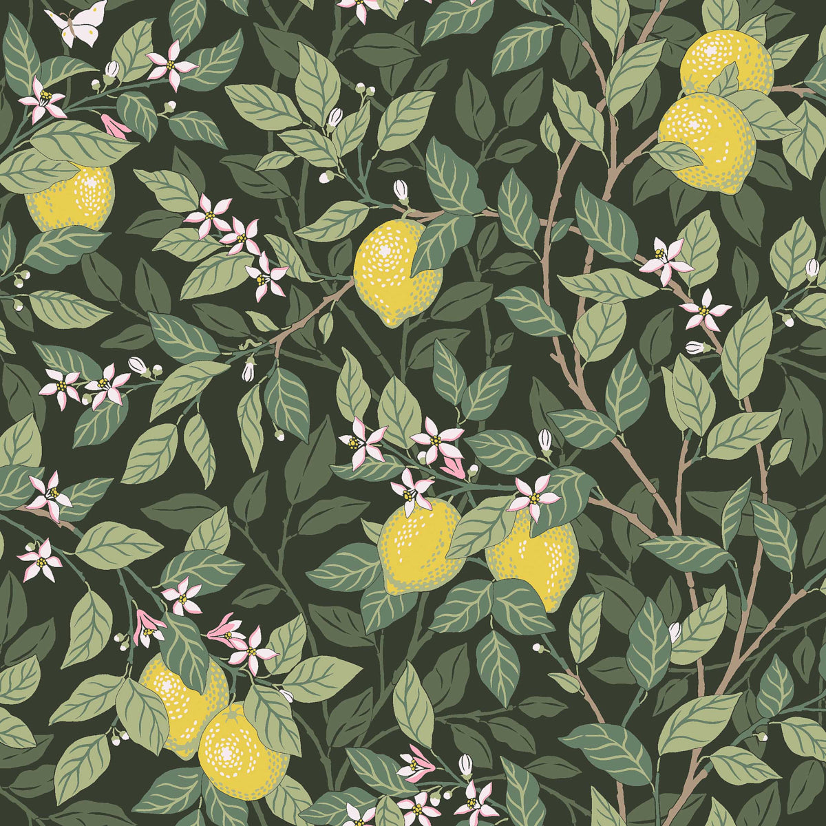 Purchase 5701 | Citronträd, Green - Borastapeter Wallpaper
