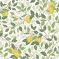 Purchase 5702 | Citronträd, Ivory And Leaf - Borastapeter Wallpaper