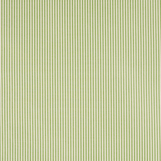 Find 60925 Charee Silk Stripe Green by Schumacher Fabric