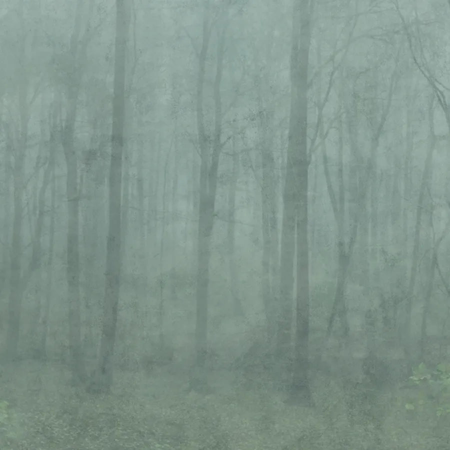 Sandberg Wallpaper Pattern number 622-08 pattern name & color Skog Forest Green from the collection Jordnära. 