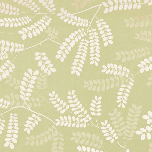 View 62440 Locust Leaves Fern by Schumacher Fabric