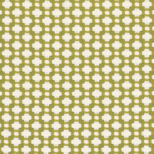 Shop 62614 Betwixt Grass/Ivory by Schumacher Fabric