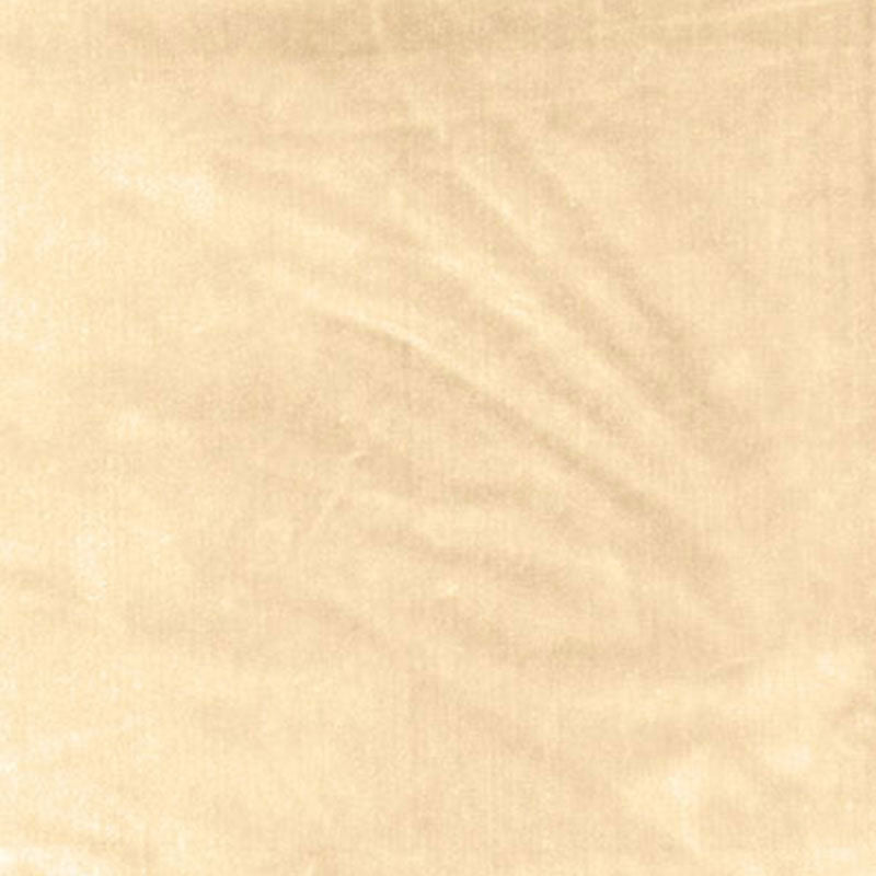 Shop 62731 Venetian Silk Velvet Doeskin by Schumacher Fabric