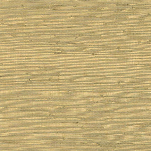 Purchase 63-54764 Shangri La, Shan Light Green Grasscloth by Kenneth James Wallpaper