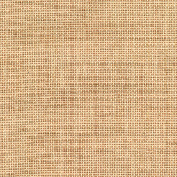 Purchase 63-54770 Shangri La, Xia Beige Grasscloth by Kenneth James Wallpaper