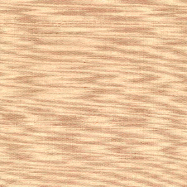Purchase 63-65412 Shangri La, Wan Beige Grasscloth by Kenneth James Wallpaper