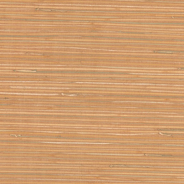 Purchase 63-65424 Shangri La, Li Na Light Brown Grasscloth by Kenneth James Wallpaper