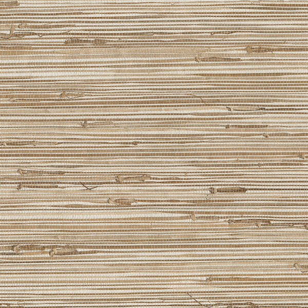 Purchase 63-65601 Shangri La, Ting Taupe Grasscloth by Kenneth James Wallpaper