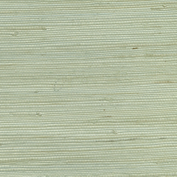 Purchase 63-65609 Shangri La, Kimi Light Green Grasscloth by Kenneth James Wallpaper