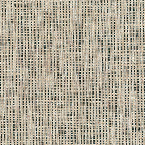 Purchase 63-65613 Shangri La, Jing Beige Grasscloth by Kenneth James Wallpaper