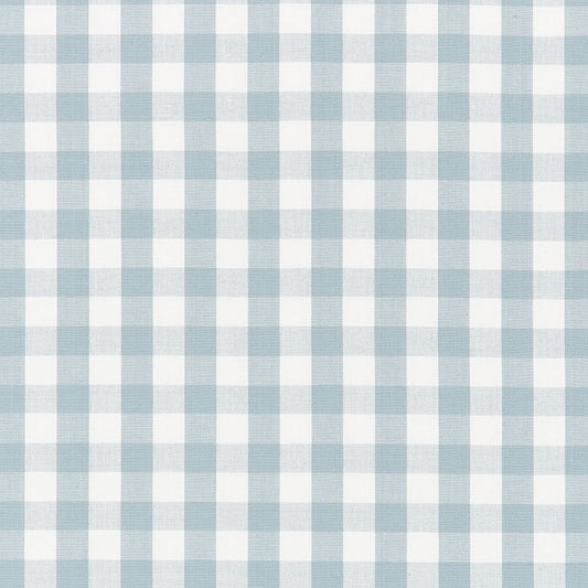 Buy 63066 Elton Cotton Check Sky by Schumacher Fabric