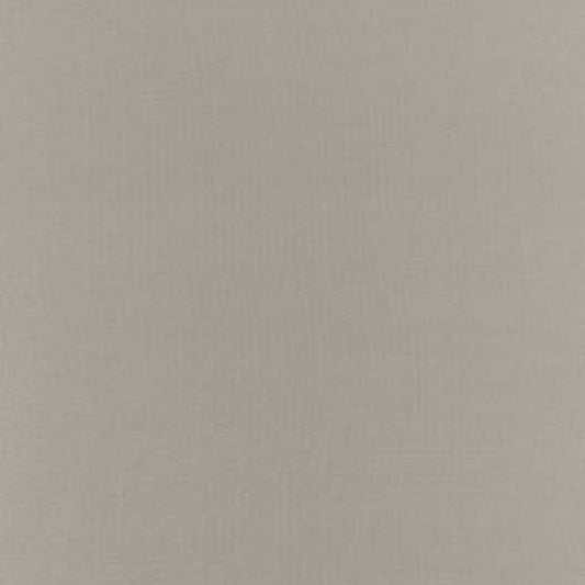 Save 63818 Botticelli Silk Taffeta Fog by Schumacher Fabric