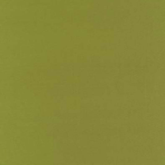 Acquire 63827 Botticelli Silk Taffeta Apple by Schumacher Fabric