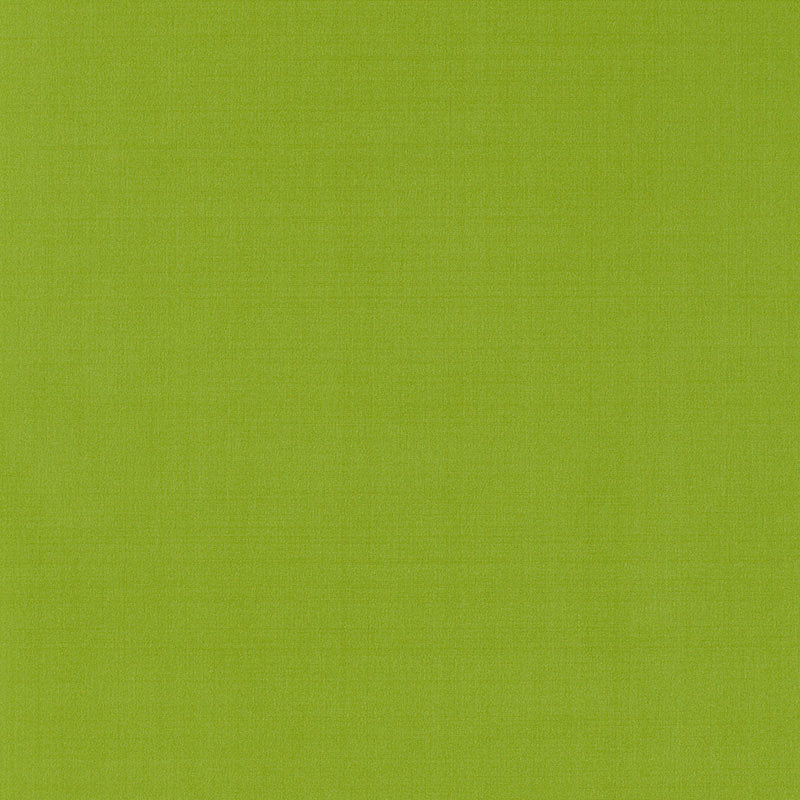 Looking 63969 Giordano Taffeta Lime by Schumacher Fabric