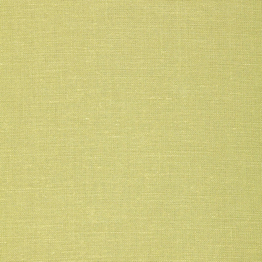 View 64495 Gweneth Linen Fern by Schumacher Fabric