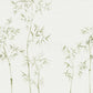 Sandberg Wallpaper SKU# 645-06 pattern name & color Arashiyama, Green from the collection Sandberg Edition. 