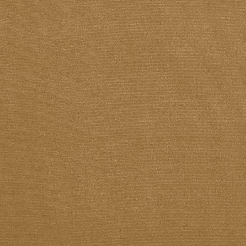 Acquire 64561 Gainsborough Velvet Split Pea by Schumacher Fabric
