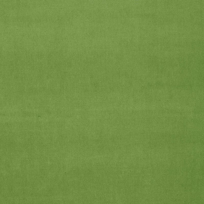 Purchase 64576 Gainsborough Velvet Grass by Schumacher Fabric
