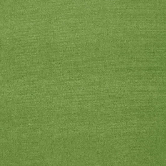 Purchase 64576 Gainsborough Velvet Grass by Schumacher Fabric