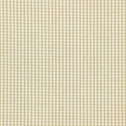Shop 64620 Barnet Cotton Check Flax by Schumacher Fabric