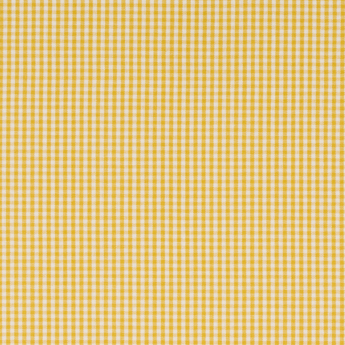 Purchase 64639 Barnet Cotton Check, Yellow by Schumacher Fabric
