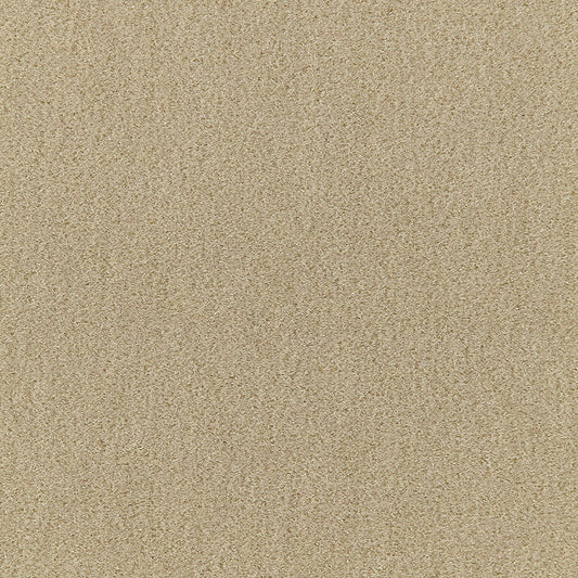 Acquire 64871 San Carlo Mohair Velvet Pebble by Schumacher Fabric