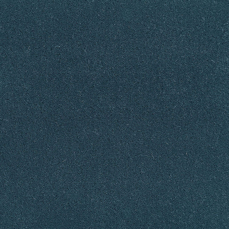 Find 64877 San Carlo Mohair Velvet Myosotis by Schumacher Fabric