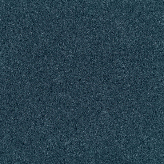 Find 64877 San Carlo Mohair Velvet Myosotis by Schumacher Fabric