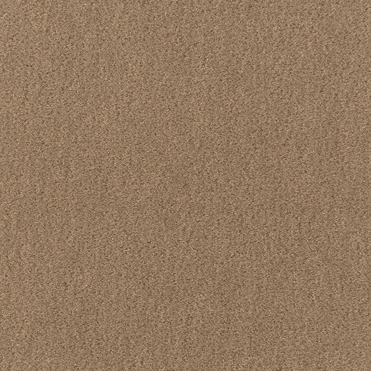 Search 64885 San Carlo Mohair Velvet Sparrow by Schumacher Fabric