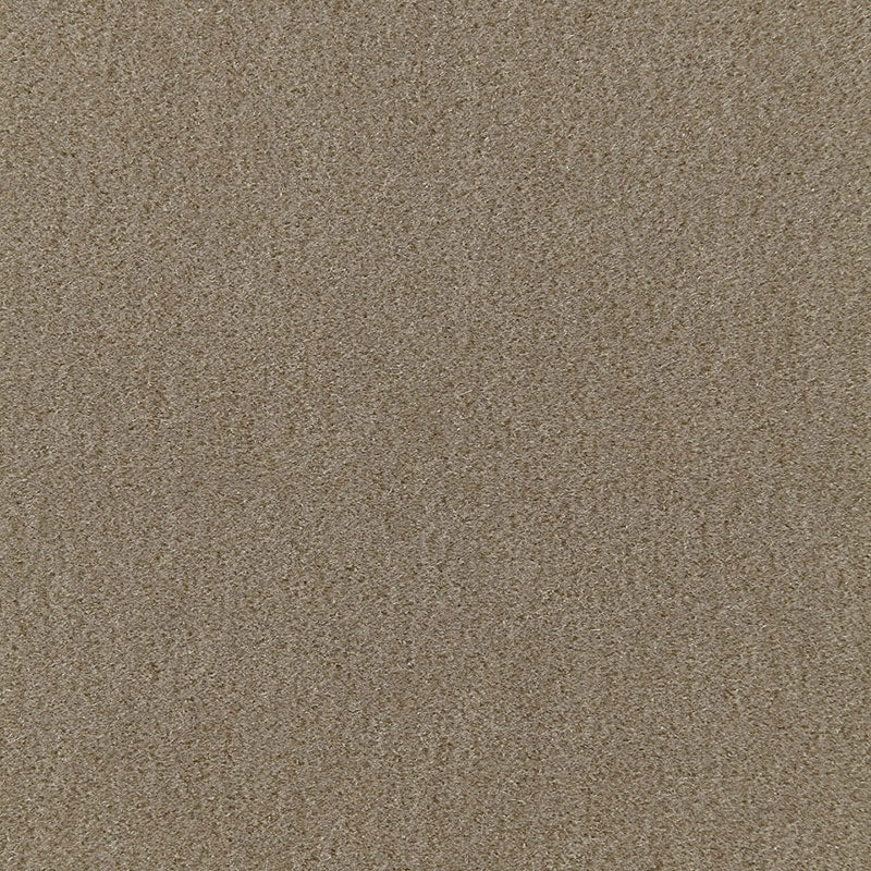 Purchase 64886 | San Carlo Mohair Velvet, Khaki - Schumacher Fabric
