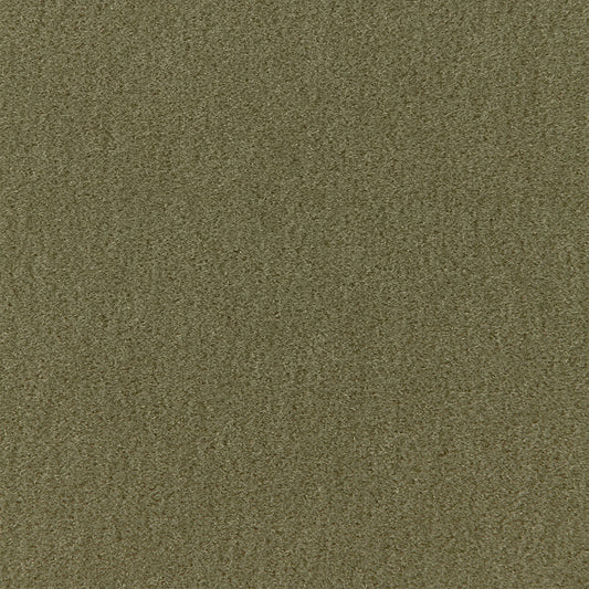Purchase 64894 San Carlo Mohair Velvet Moss by Schumacher Fabric